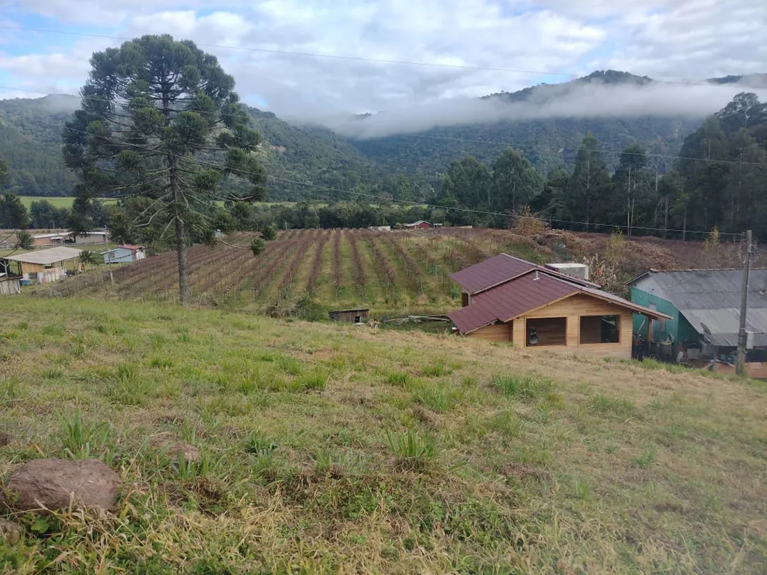 Sítio no Vacariano (3 ha) - foto 1